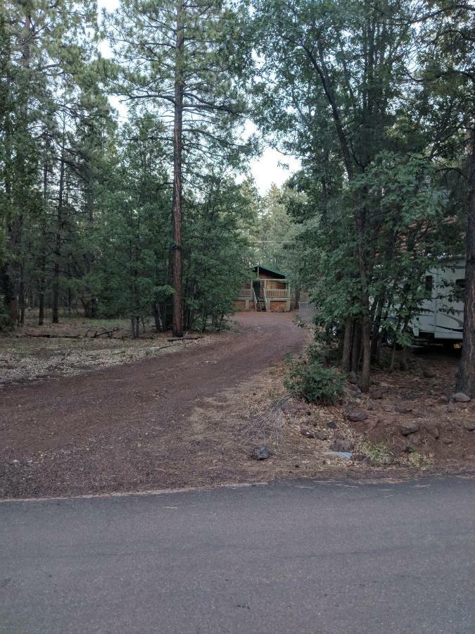 Cozy Cub Log Cabin - Year Round Tranquil Beauty Пайнтоп-Лейксайд Екстериор снимка