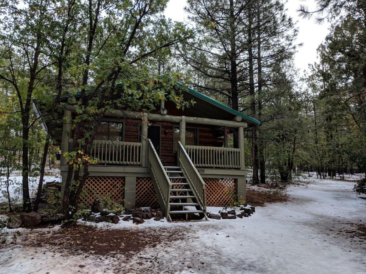 Cozy Cub Log Cabin - Year Round Tranquil Beauty Пайнтоп-Лейксайд Екстериор снимка